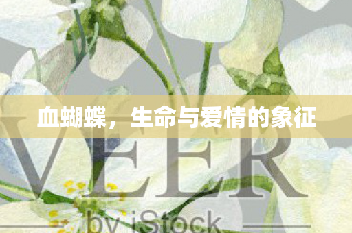 生命与爱情的象征图片