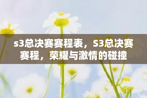 s3总决赛赛程表图片