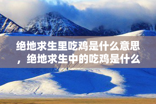 游戏背后的故事与玩家的胜利狂欢图片
