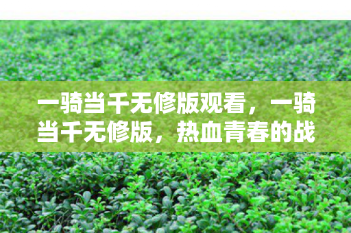 一骑当千无修版观看图片