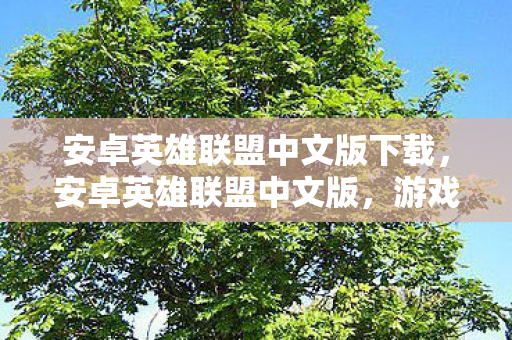 安卓英雄联盟中文版下载图片