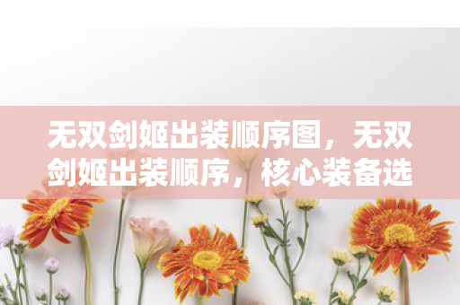 核心装备选择与搭配策略图片