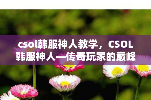 csol韩服神人教学图片