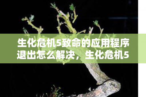 生化危机5致命的应用程序退出怎么解决图片