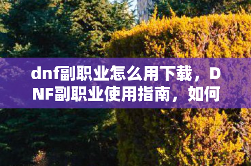 dnf副职业怎么用下载图片