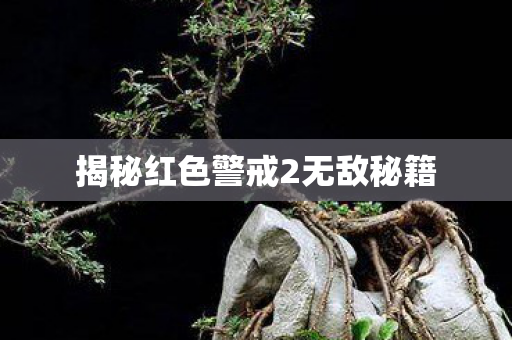 揭秘红色警戒2无敌秘籍图片