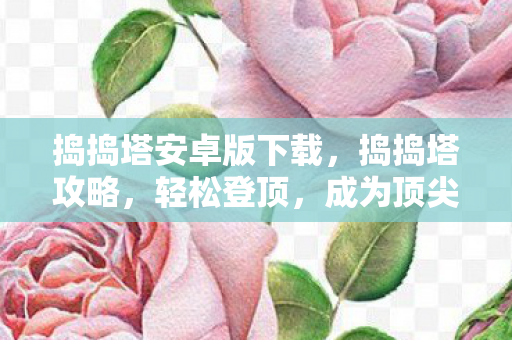捣捣塔安卓版下载图片