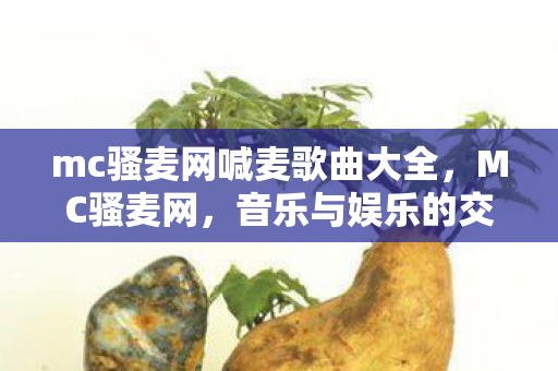 mc骚麦网喊麦歌曲大全图片