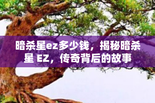 暗杀星ez多少钱图片