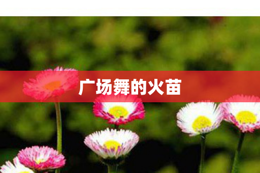 广场舞的火苗图片
