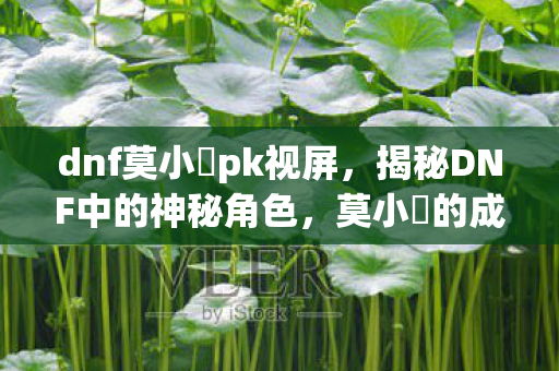揭秘DNF中的神秘角色图片