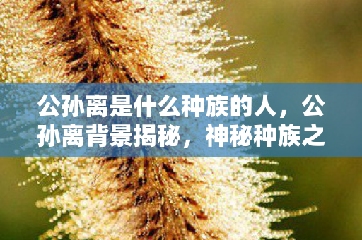 公孙离是什么种族的人图片