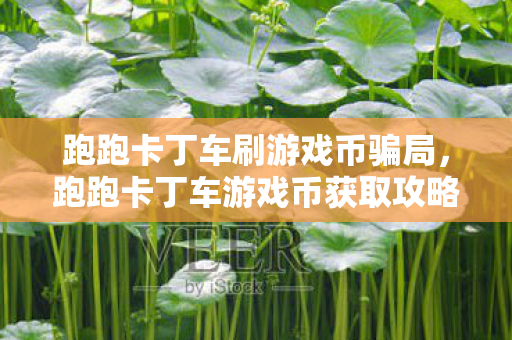 跑跑卡丁车游戏币获取攻略图片