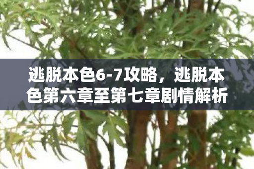 逃脱本色第六章至第七章剧情解析图片