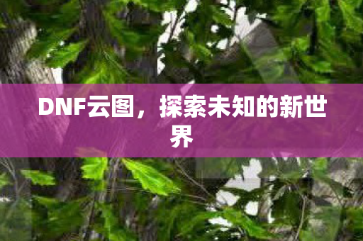 探索未知的新世界图片