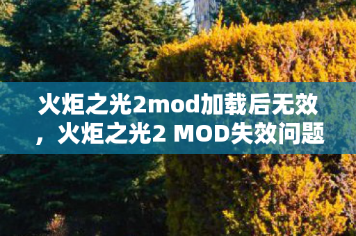 火炬之光2 MOD失效问题解析与解决方案图片