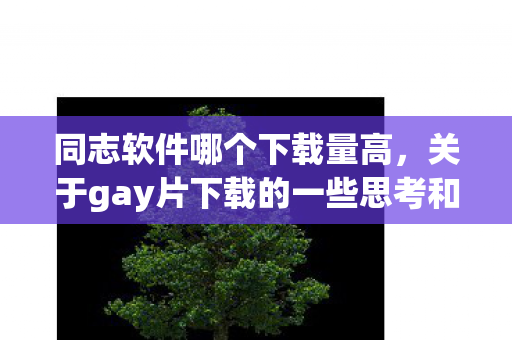 关于gay片下载的一些思考和建议图片