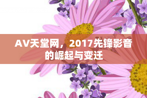 2017先锋影音的崛起与变迁图片