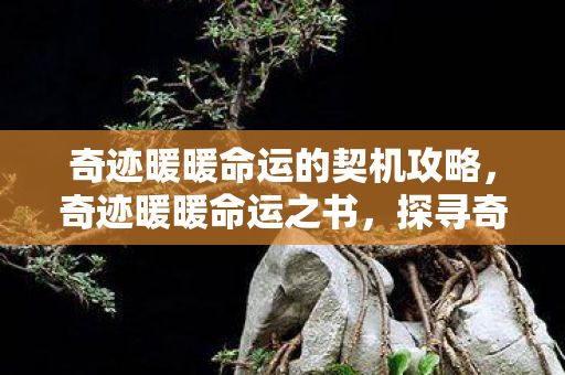 奇迹暖暖命运的契机攻略图片