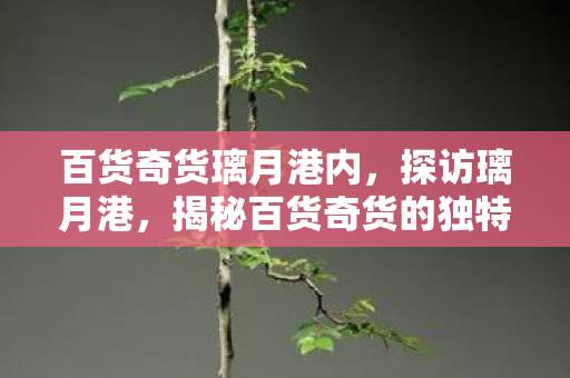 揭秘百货奇货的独特魅力图片