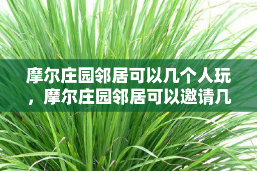 如何建立和谐的摩尔庄园邻居关系图片