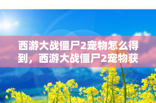 西游大战僵尸2宠物怎么得到图片