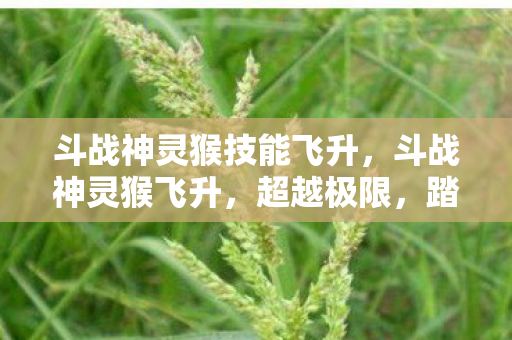 斗战神灵猴技能飞升图片