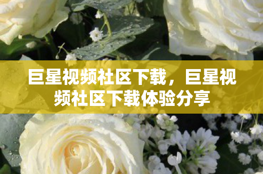 巨星视频社区下载体验分享图片