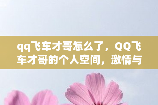 QQ飞车才哥的个人空间图片