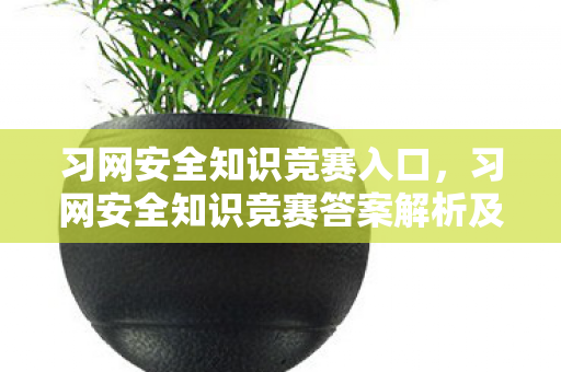 习网安全知识竞赛答案解析及学习心得分享图片