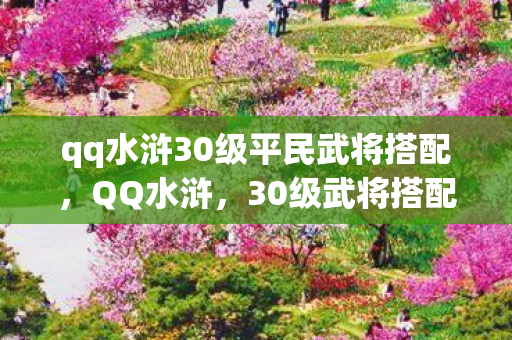qq水浒30级平民武将搭配图片