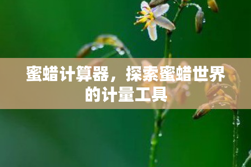 探索蜜蜡世界的计量工具图片