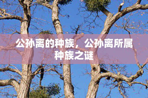 公孙离所属种族之谜图片