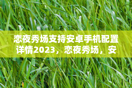 恋夜秀场支持安卓手机配置详情2023图片
