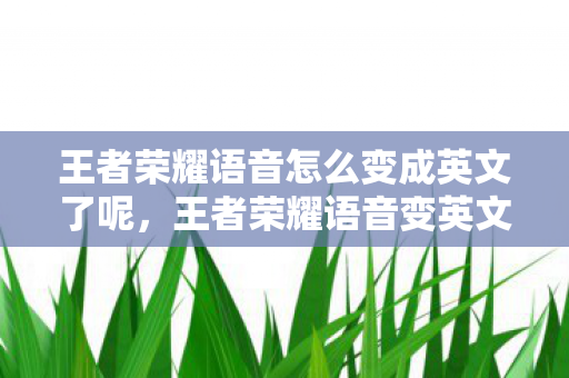 王者荣耀语音变英文的原因及解决方案图片