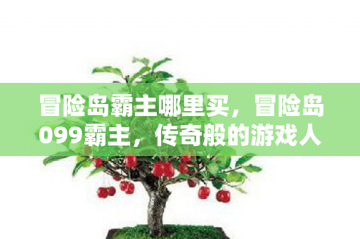 冒险岛霸主哪里买图片