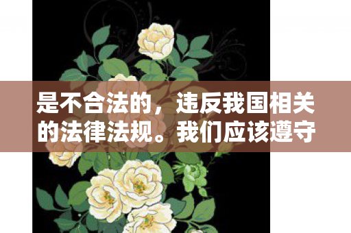 我们应该遵守法律和道德准则图片