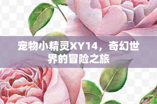 宠物小精灵XY14图片