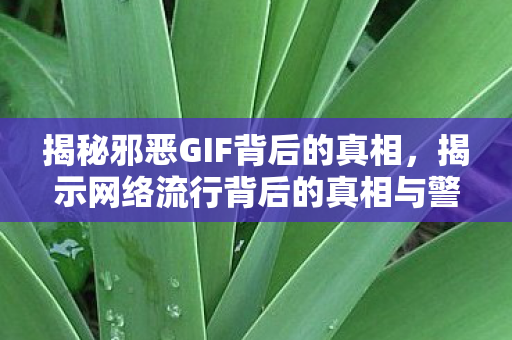 揭示网络流行背后的真相与警示图片