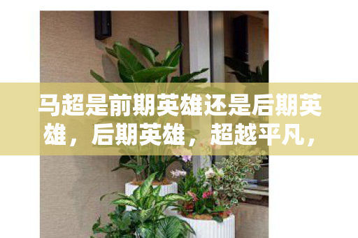 马超是前期英雄还是后期英雄图片