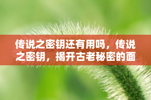 传说之密钥还有用吗图片