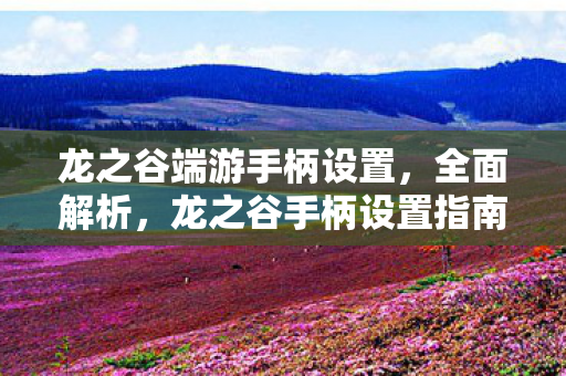 龙之谷端游手柄设置图片