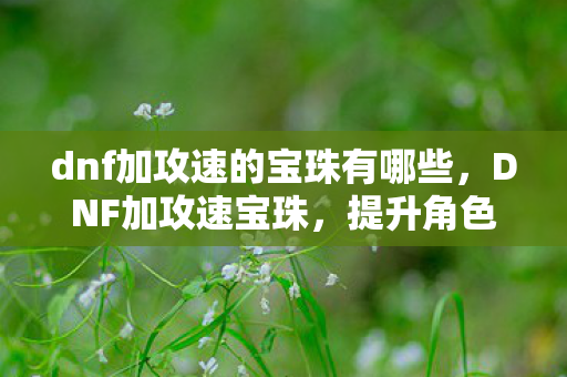 dnf加攻速的宝珠有哪些图片