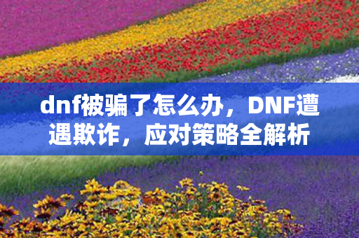 dnf被骗了怎么办图片