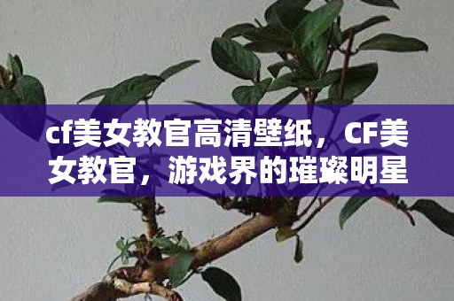 cf美女教官高清壁纸图片
