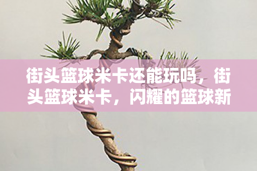 街头篮球米卡还能玩吗图片