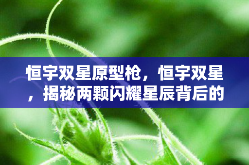 揭秘两颗闪耀星辰背后的故事图片
