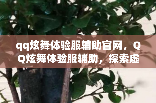 探索虚拟舞蹈世界的独特魅力图片