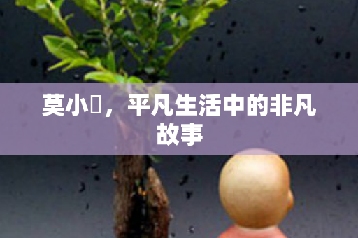 平凡生活中的非凡故事图片