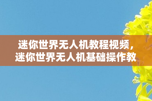 迷你世界无人机基础操作教程图片